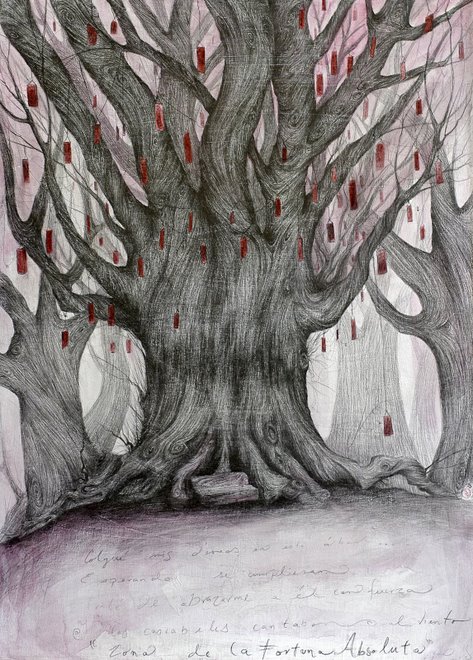 Zona de la fortuna absoluta